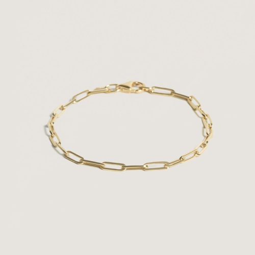 alt="Petite Link Chain Bracelet"