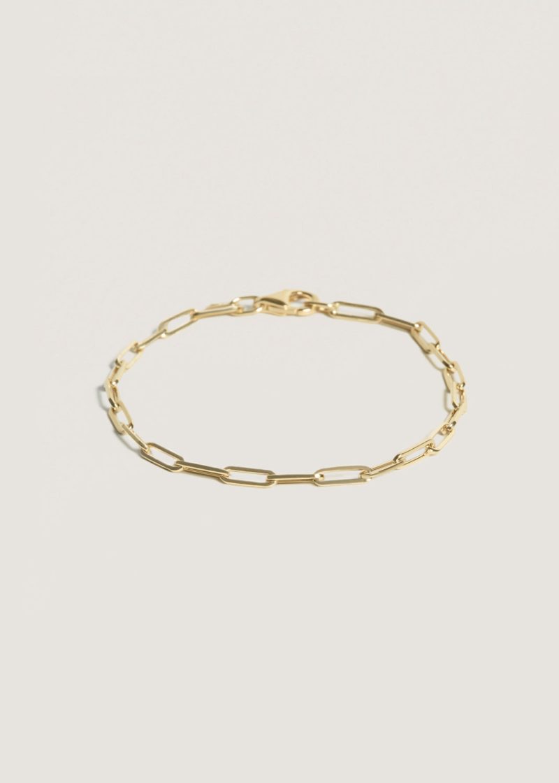 alt="Petite Link Chain Bracelet"