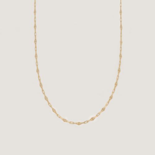 alt="Diamond Cut Rolo Chain Necklace"